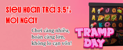 Thể Thao Kịch Tính Mỗi Ngày